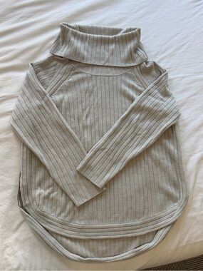 Garnet Hill Ribbed Turtleneck Sweater in Light Gray